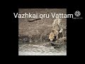 Vazhkai Oru Vattam