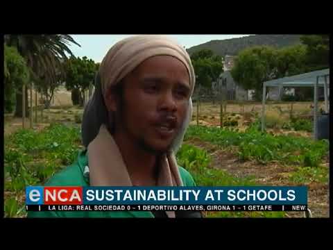 A small scale farming project in Cape Town is taking hold