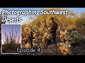 The SONORAN Desert Part II / Landscape Photography
