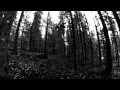 Agalloch - Nest: Last vestige of old joy 
