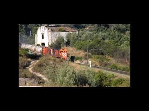 Comboio n.º 75530 - Almourol