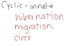 Cyclic Behavior of Animals