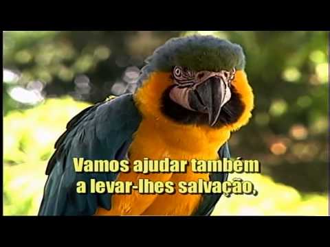 Hinário Adventista 459 - Cristo Ama as Criancinhas