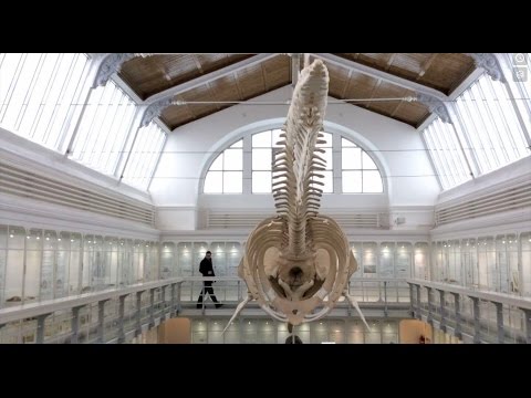 Kurt Maloo - Don't Bring Me Down