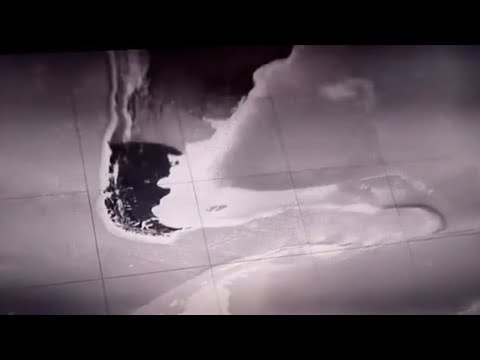 "Why Would The Americans Want To Save Hitler? (German conspiracy thriller 2023 “Operation Napoleon”)