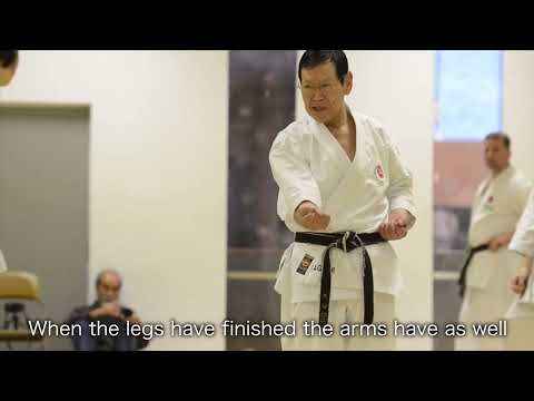 Yaguchi shihan 9th dan iskf     #karateshotokan #karate #karatekid #karadeniz #kata #karatedo