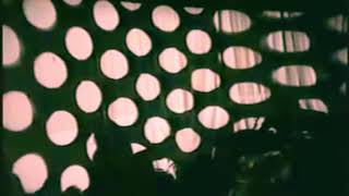 Music video thumbnail preview for Tripping Daisy at Trees - Green Tambourine (Audio enhanced) by Tripping Daisy