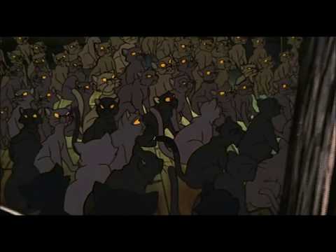 Omaure & Django - Cats of the Night