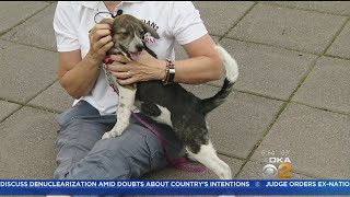 &#39;Take Me Home&#39; Tuesday: Bobbie