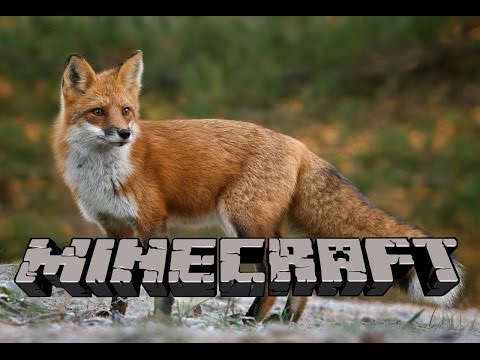 What does the Fox say? - Minecraft music parody Ylvis