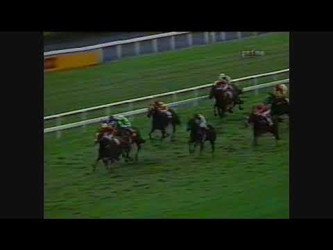 1992 BRC Chairman's Handicap