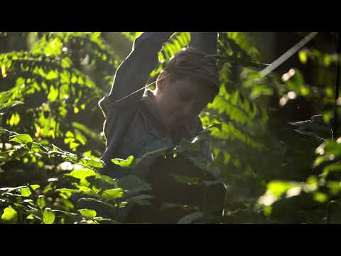 Wonderzero - He Turned Me Into Sand (Acoustic Version)