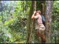 Crocodile Hunter Faces In The Forest Part 3