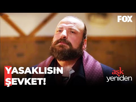 Darbeli Haydar, Şevket Reis'e Karşı - Aşk Yeniden 47. Bölüm