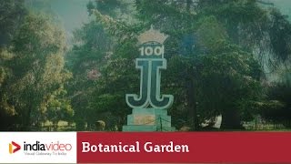 Government Botanical Gardens in Ooty