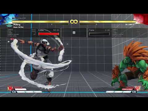 Concept Rashid VT1 Setup