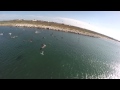 Pelican And Seagull Feeding Frenzy