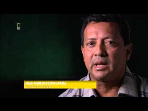 Mayday   Air Crash Investigation S12E05   Blind Landing TANS Perú Flight 204