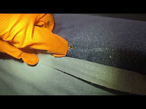 Throughout the Mattress Are Bed Bugs in Maplewood, NJ