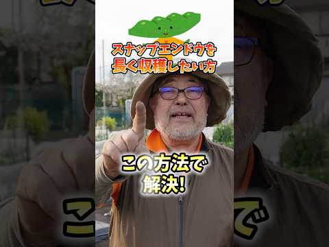 一度植えると数年連続で収穫できますか?さて、多年草野菜にズームイン！  庭園