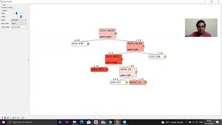 Decision Tree using Orange Data Mining Tool