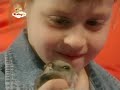 Babytv Kids And Pets Hamster