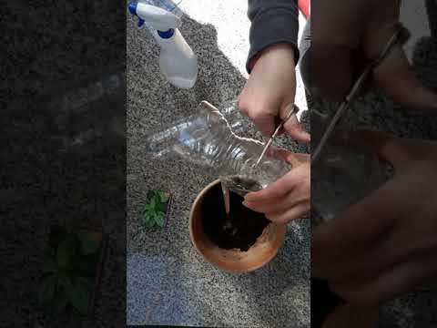 Spetebo Mini Serra Da Davanzale 24 Vasi Con Insert E Paletta - Serra Per Interni/Esterni