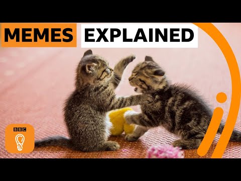 Internet Memes Explained