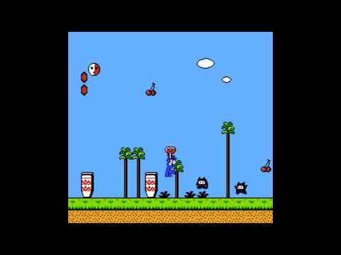 Doki Doki Panic Game Genie Code: OSEOSA - Flashing graphics, glitched music and glitched enemies