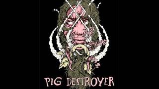 PIG DESTROYER- Synthetic utopia