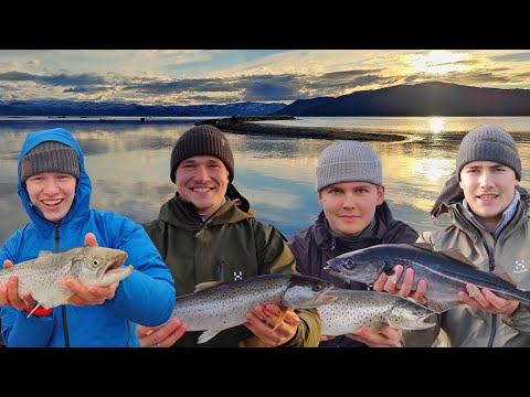 KALASTUS ROADTRIP NORJAAN! (Meritaimenta nousee)