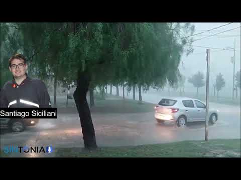 Temporal en Monte Maíz: Bomberos realizaron 12 intervenciones por caída de árboles y postes