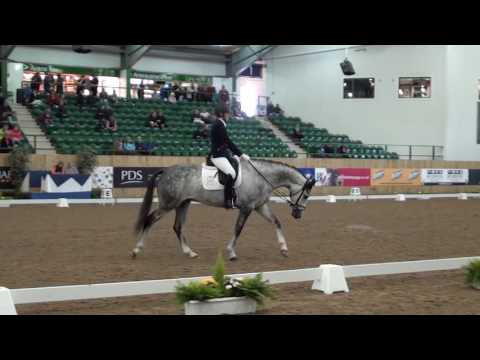 BD NAF 5* Winter Championships 2017 - Sian Turner and Darwin