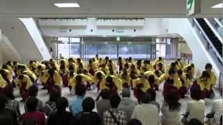 preview picture of video 'ちばＹＯＳＡＫＯＩ ２０１２　二日目　東京理科大学Yosakoiソーラン部'
