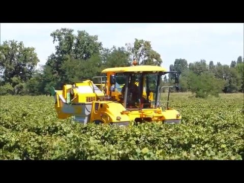 AGRIMAC: GREGOIRE G8.260 Consegna Vendemmiatrice