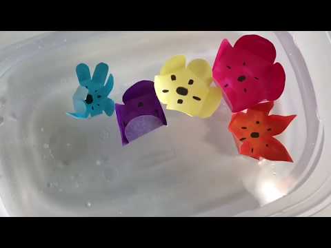 How to Make Magic Blooming Flowers (Easy Fun for Kids!)