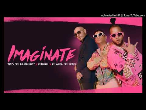Tito El Bambino Ft Pitbull & El Alfa - Imaginate (Audio oficial)