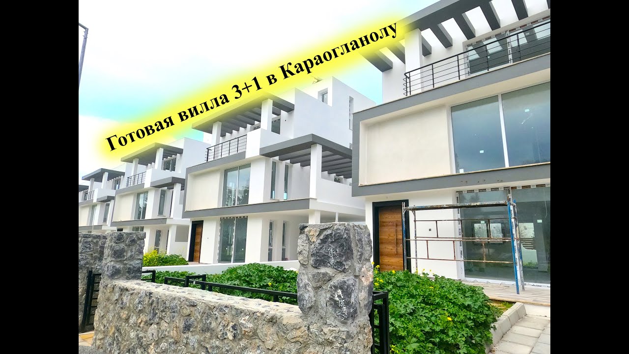 video image
