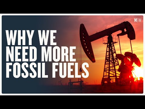 Can Fossil Fuels Save The World? - Alex Epstein | Modern Wisdom Podcast 324