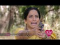 Zee World My Heart Knows Week 4 May 2022
