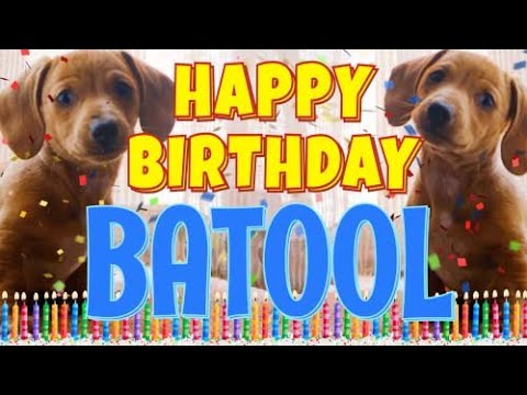 Happy Birthday Batool! ( Funny Talking Dogs ) What Is Free On My Birthday