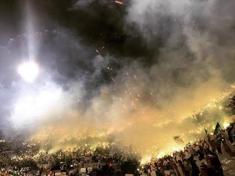 Top-5 Ultras of the Week (25.07 - 31.07) Ultras World