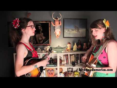 Damn Dumb - Birdcloud