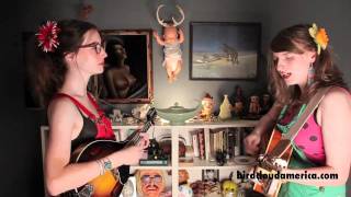 Damn Dumb - Birdcloud