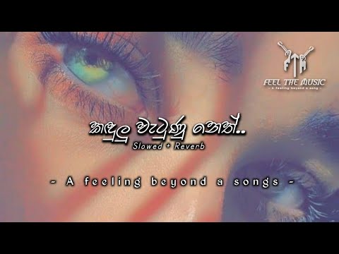 කඳුලු වැටුණු නෙත් | Kandulu Watunu Neth ( Slowed + Reverb ) Feel the Music