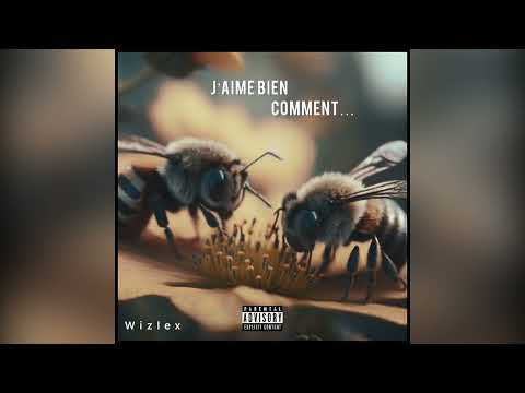 J’aime bien comment… - Wizlex (Official audio)