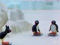 Txt As Pingu