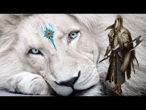 High Elves vs. The Empire - Call of Warhammer Beginning of the End Times Multiplayer Battle