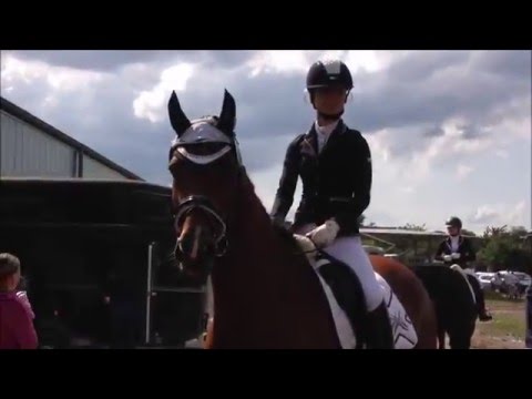 MY CHOICE: LOVE - Mr. Anuk [500+]