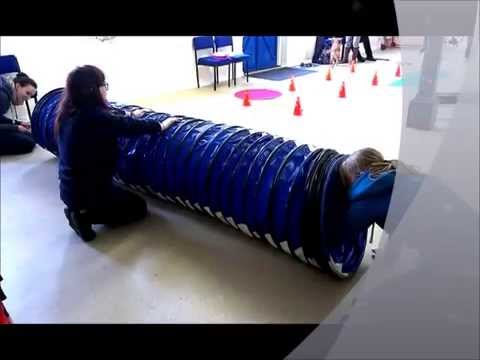 Have a Good Dog video.